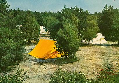 Vakantie op de Veluwe