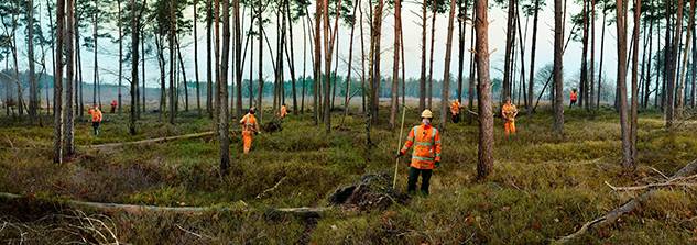 Beeld: detail uit '<em>Oranje mannen, in opdracht van CODA en mogelijk gemaakt door het Mondriaan Fonds'</em> - Ellen Kooi